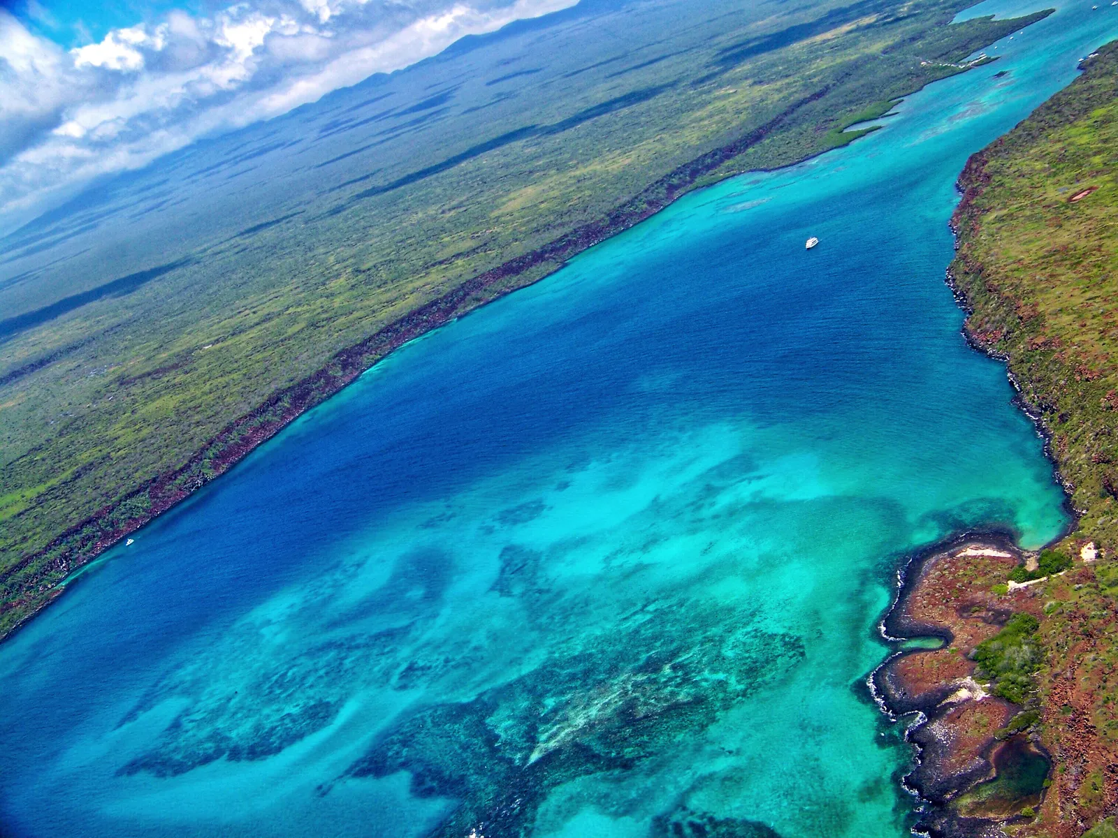 Galápagos